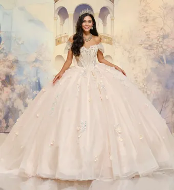 Ivory Rose Princesa By Ariana Vara PR30202