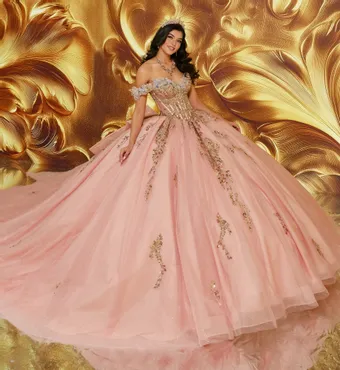 Ivory Rose Princesa By Ariana Vara PR30207