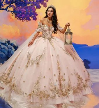 Ivory Rose Princesa By Ariana Vara PR30208