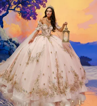 Ivory Rose Princesa By Ariana Vara PR30208