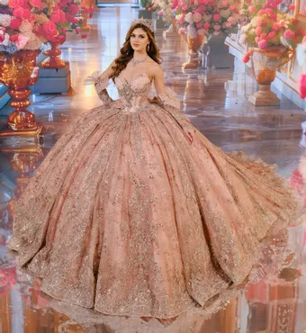 Ivory Rose Princesa By Ariana Vara PR70104