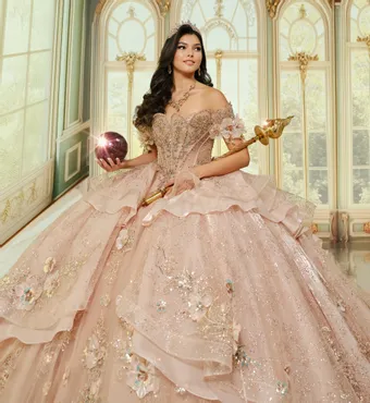 Ivory Rose Princesa By Ariana Vara PR70106