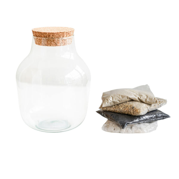 Ivyline Angluar Glass Small Terrarium DIY Kit