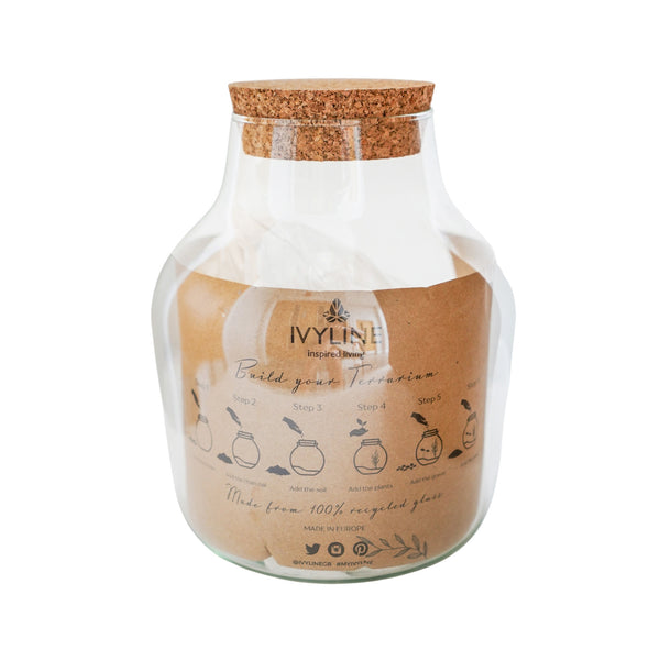 Ivyline Angluar Glass Small Terrarium DIY Kit