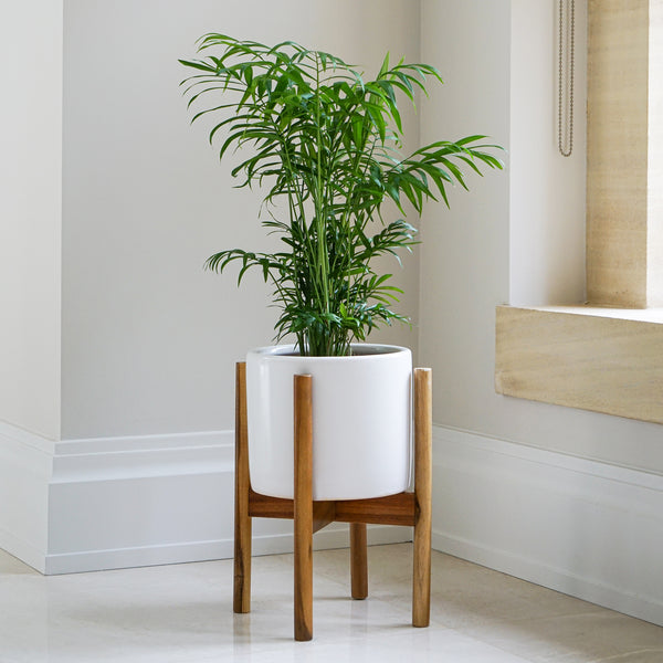 Ivyline Anzio Planter With Wooden Stand