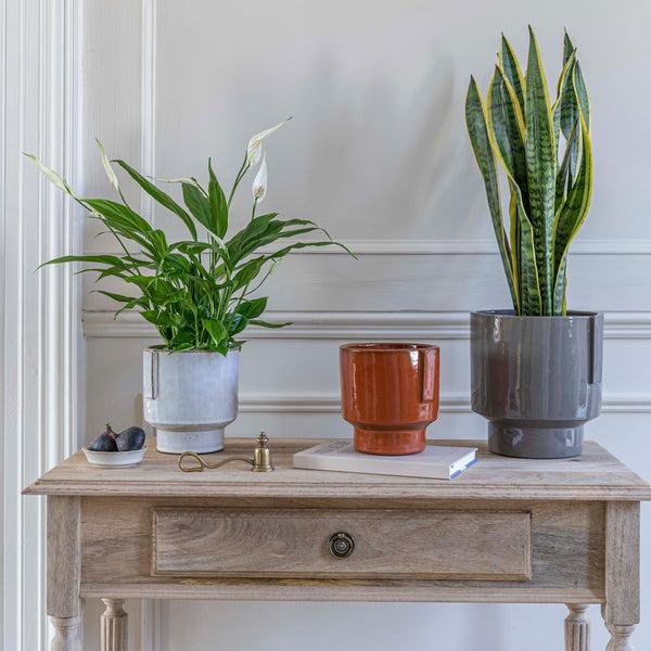 Ivyline Aries Glazed Handles Planter