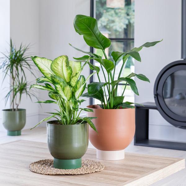 Ivyline Austin Dual Metal Planters Set Of 2