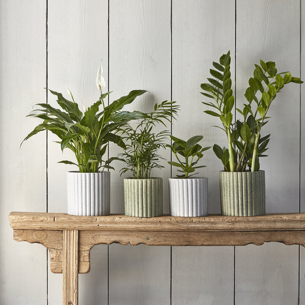 Ivyline Azalea Stone Ribbed Speckle Planter