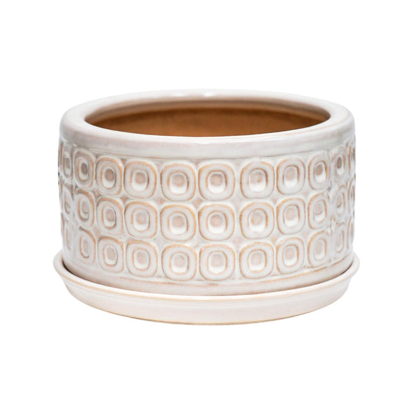 ivyline Bonsai Planter