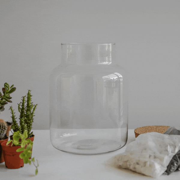 Ivyline Bottle Shape Large Terrarium DIY Kit