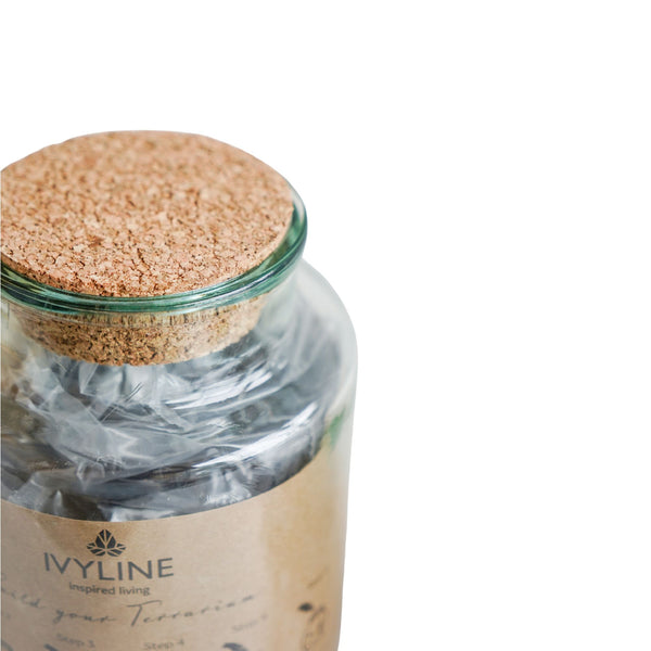 Ivyline Bottle Shape Large Terrarium DIY Kit