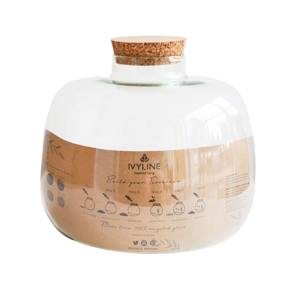 Ivyline Bowl Shape Terrarium DIY Kit