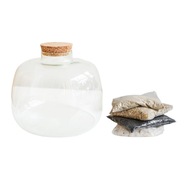 Ivyline Bowl Shape Terrarium DIY Kit