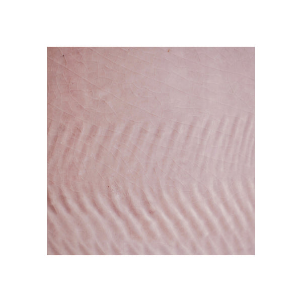 Ivyline Camellia Scalloped Edge Planter