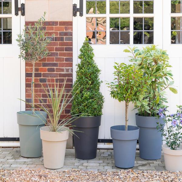 Ivyline Cleo High Planter