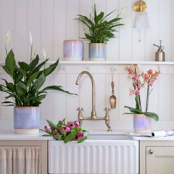 Ivyline Copenhagen Two Tone Planter