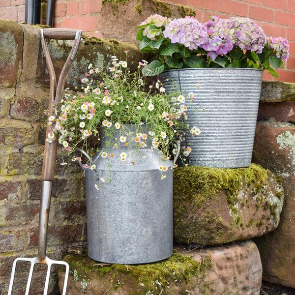 ivyline Galvanised Milk Churn