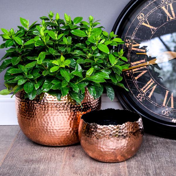 Ivyline Hammered Bowl