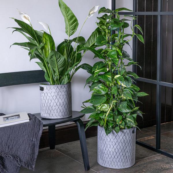 Ivyline Indoor Christmas Tree Bucket Zinc