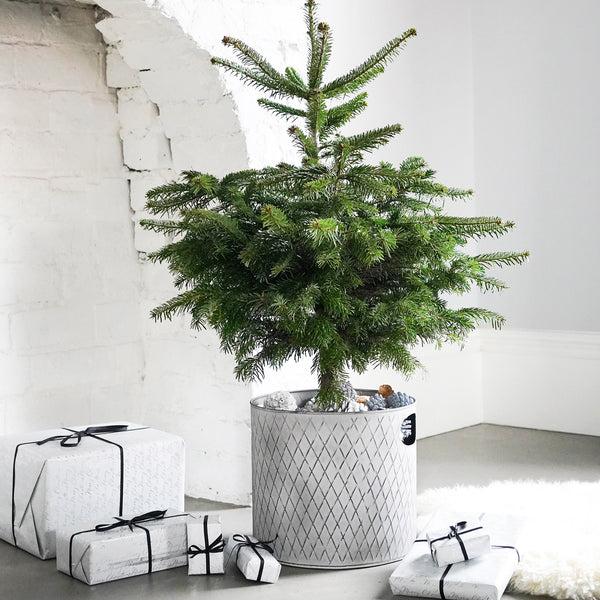 Ivyline Indoor Christmas Tree Bucket Zinc