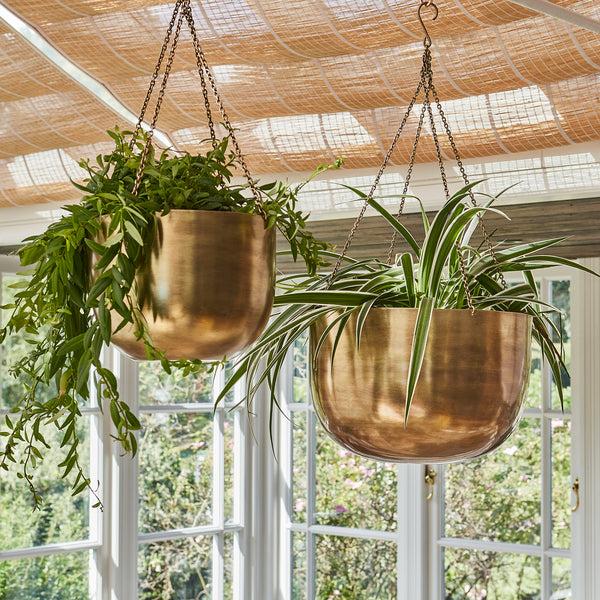Ivyline Indoor Mayfair Hanging Planter