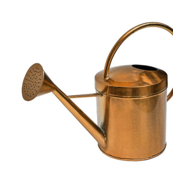 Ivyline Kensington Traditional Copper Watering Can