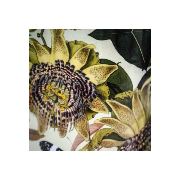 Ivyline Kew Botanical Retreat Planter With Saucer