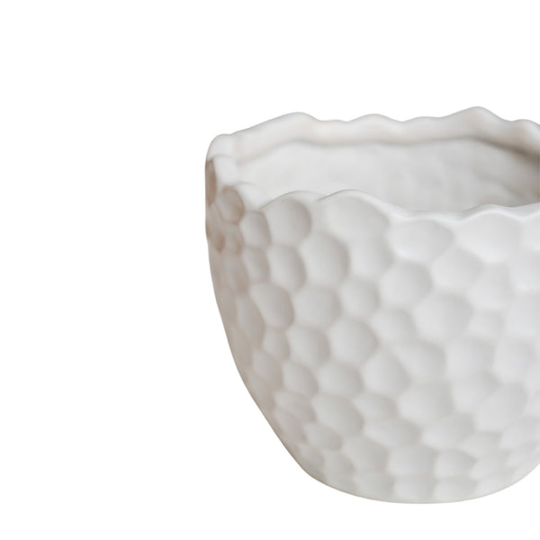 Ivyline Kew Botanical Textured White Planter