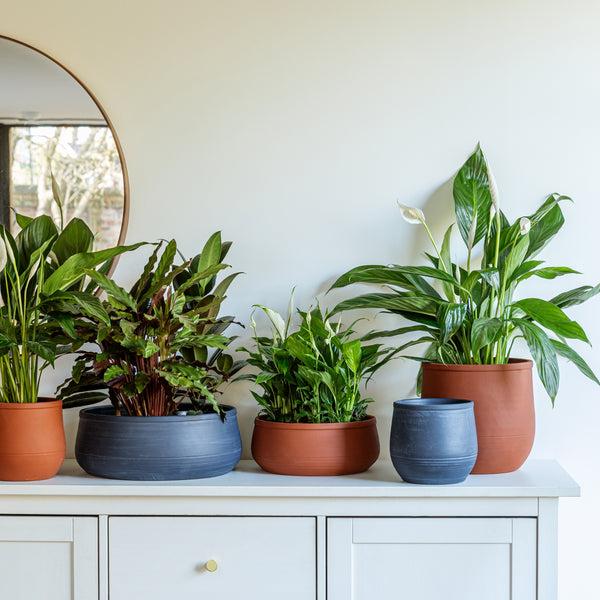 Ivyline Kew Handthrown Statement Bowl