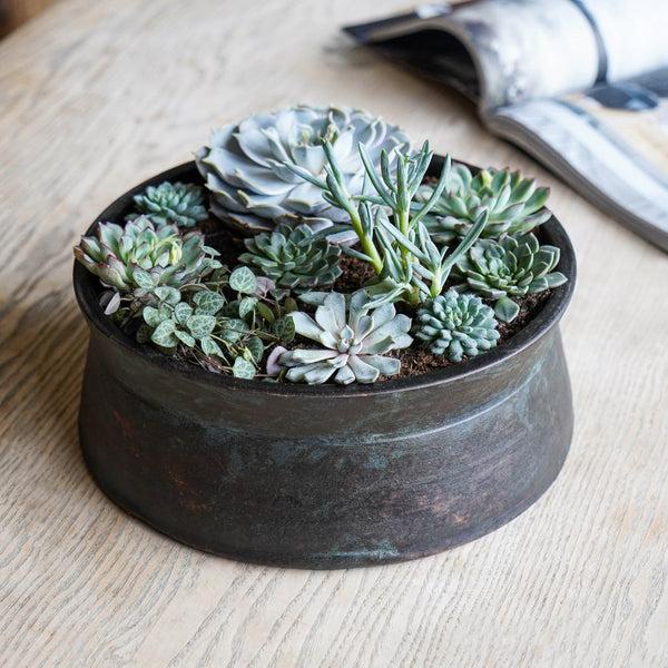 Ivyline Kew Handthrown Statement Bowl Old Bronze