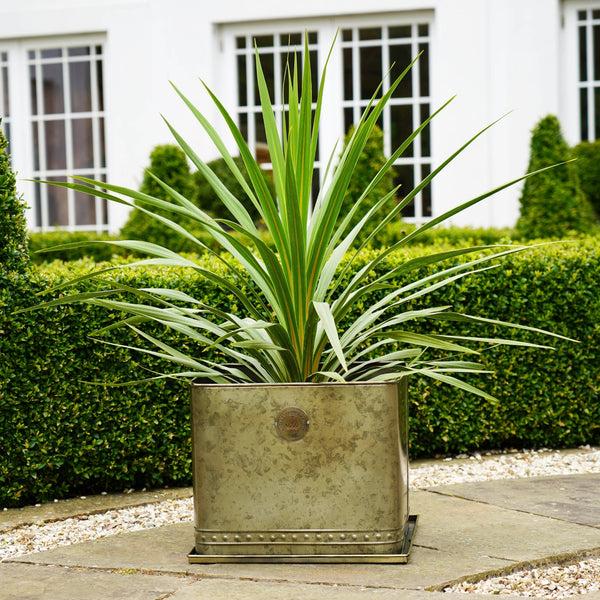 Ivyline Kew Regency Outdoor Planter
