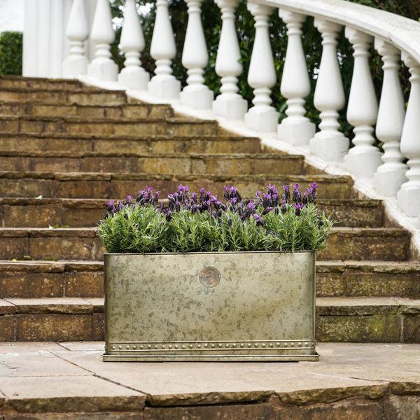 Ivyline Kew Regency Outdoor Planter