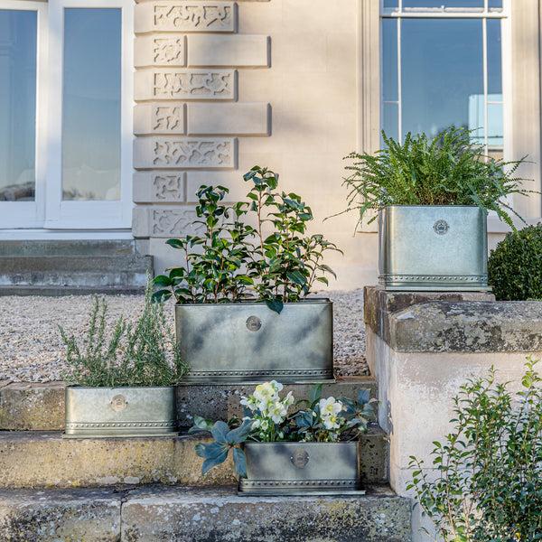 Ivyline Kew Regency Outdoor Trough