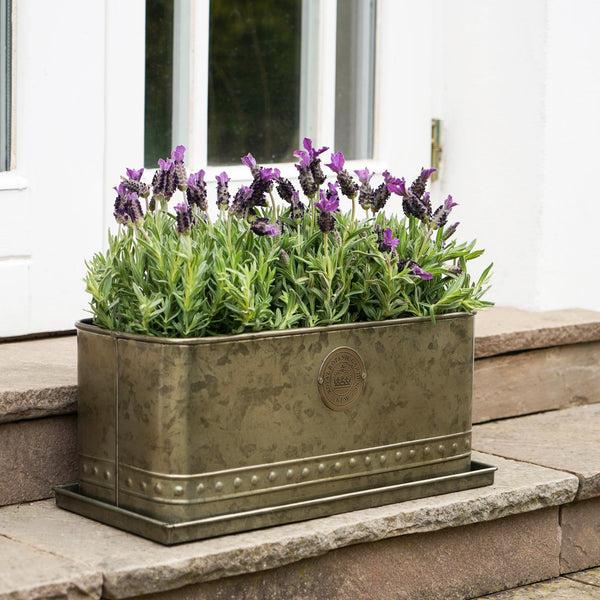 Ivyline Kew Regency Outdoor Trough