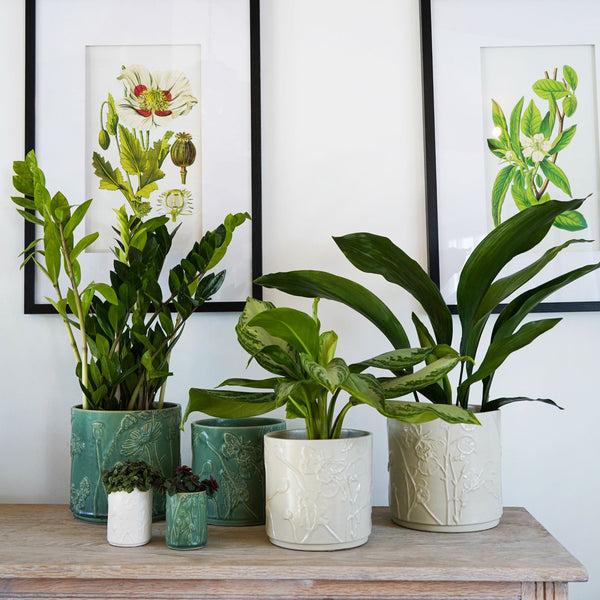 Ivyline Kew Stoneware Meadow Planter