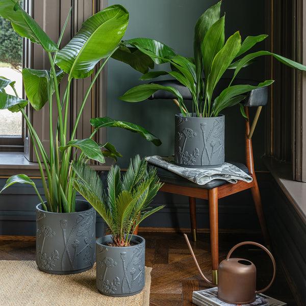 Ivyline Kew Stoneware Meadow Planter Midnight