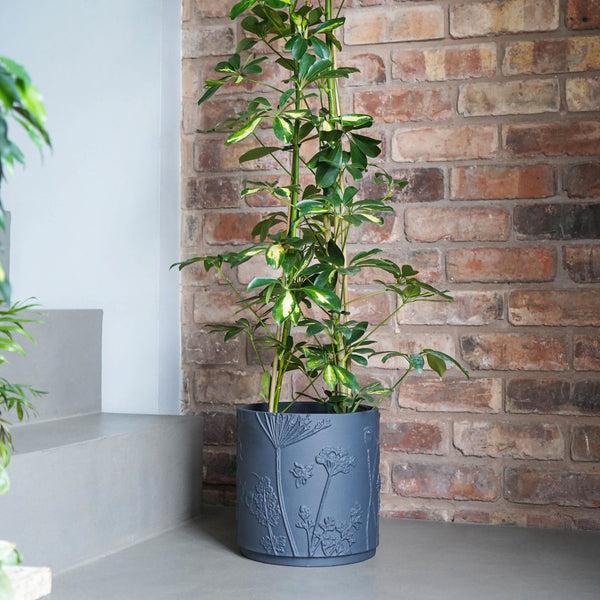 Ivyline Kew Stoneware Meadow Planter Midnight