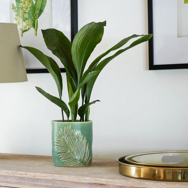 Ivyline Kew Stoneware Sago Palm Planter