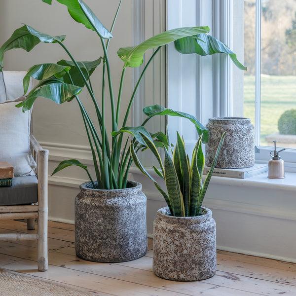 ivyline Kew Volcanic Texured Planter