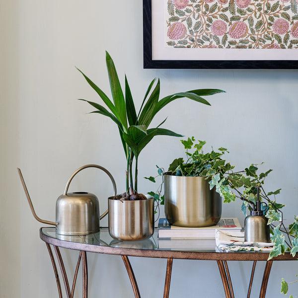 Ivyline Kew Watering Can
