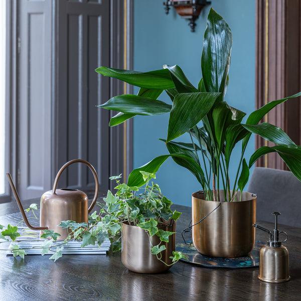 Ivyline Kew Watering Can