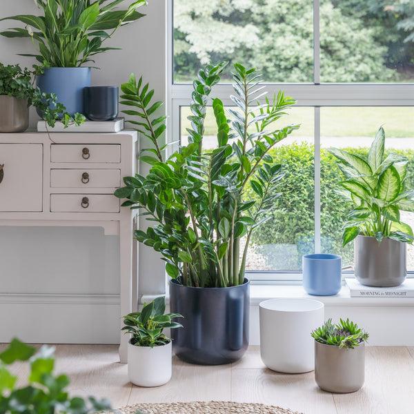 Ivyline Lisbon Planter