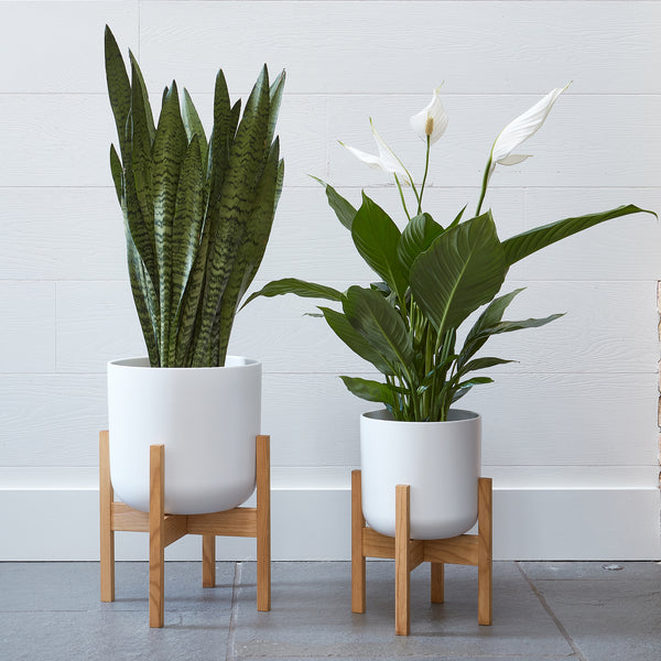 Ivyline Lisbon Pot & Stand