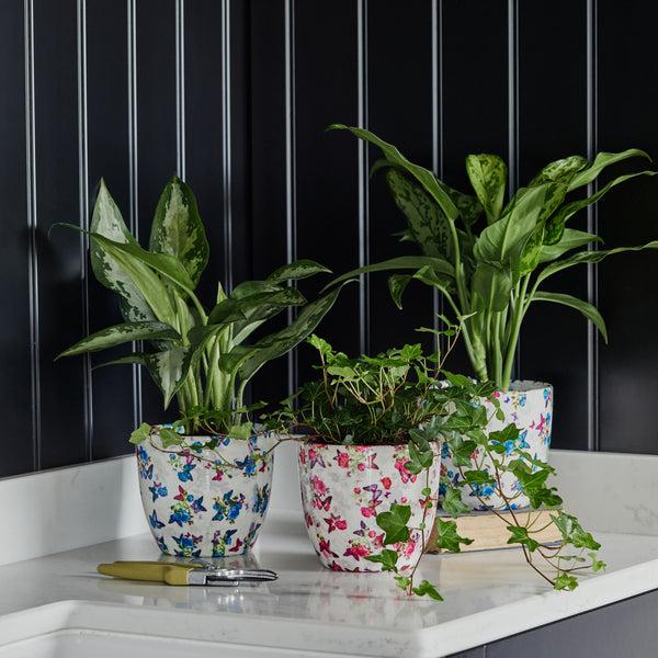 Ivyline Monza Butterfly Planter