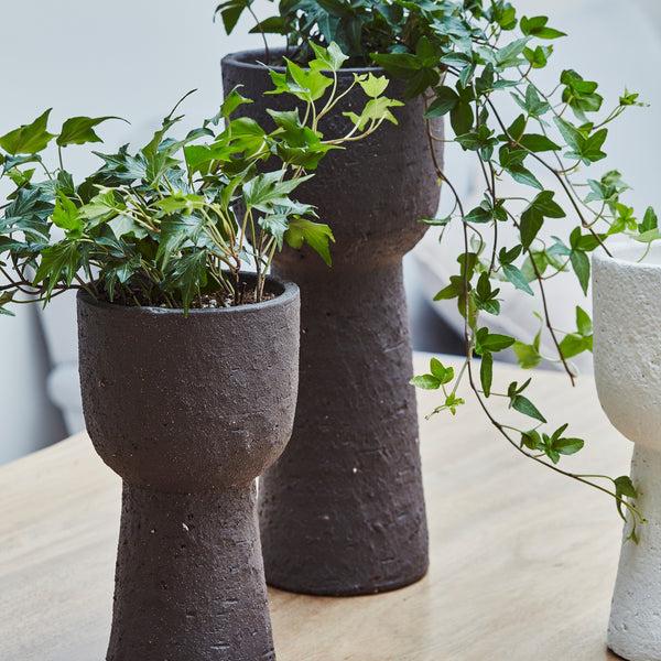 Ivyline Nico Tall Planter