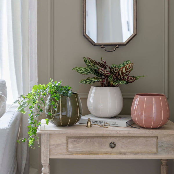 Ivyline Nova Wax Relief Planter