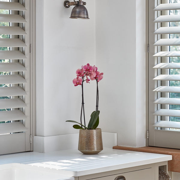 Ivyline Opulent Metallic Planter