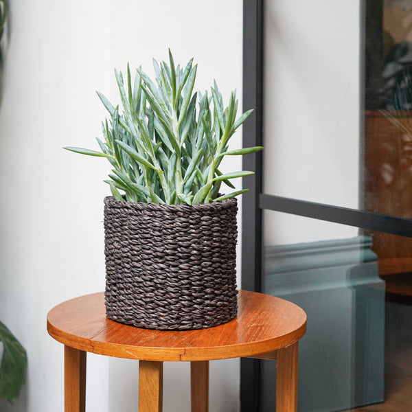 Ivyline Oslo Seagrass Lined Set Of 3 Planters
