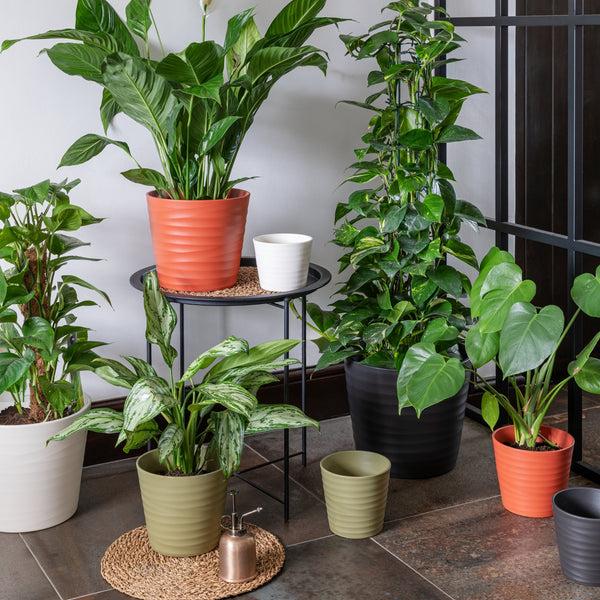 ivyline Oslo Taper Planter