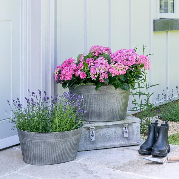 Ivyline Outdoor Galvanised Trough